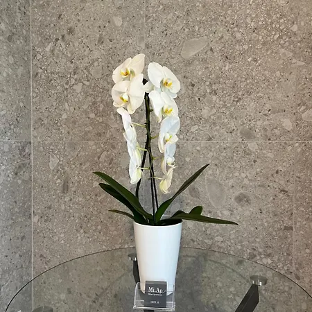 Miap Orti 31 شقة